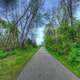 Paved Hiking Path at Kickapoo Valley Reserve, Wisconsin