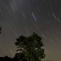 Star Trails Above the Trees at Blackhawk Lake, Wisconsin