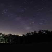 Star Trails Above the Trees
