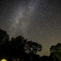 Stars and Milky Way above the trees at Blackhawk lake Recreation Area, Wisconsin