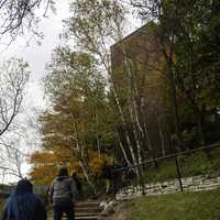 Steps up to the tower with autumn trees