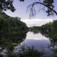 Stewart Lake Between the trees landscape