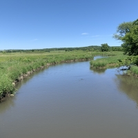 Sugar River Bosco Unit