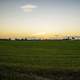 Sunset and Dusk over the Farmland