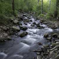 Time-Lapse of the flowing river rapids in Baxter's Hollow, Wisconsin