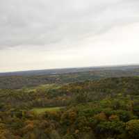 Trees and Autumn forest landscape under cloudy skies