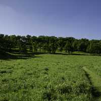 Trees and Meadow at Pleasant Valley State Natural Area