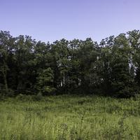 Trees with grass under sky in Stewart Lake County Park