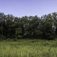 Trees with grass under sky in Stewart Lake County Park
