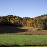 View of the trees and autumn forest in Wisconsin