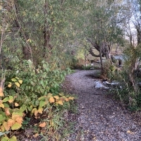 Walking path to the point on Governor's Island