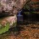 Waterfall within the gorge and leaves in the water at Pewit's Nest, Wisconsin