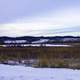 Winter landscape on an overcast day in Wisconsin