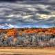 Clouds over the forest in Southern Wisconsin