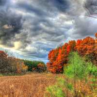 Colors and sky on the hiking trail in Southern Wisconsin