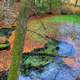 Natural Springs in Southern Wisconsin