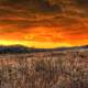 Red Dusk Skies in Southern Wisconsin