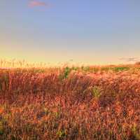 Dusk Over Cornfields in Southern Wisconsin