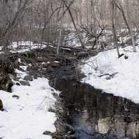 Landscape of the Creek through Parfrey's Glen in Wisconsin, Free stock photo