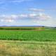 landscape of the cornfields in Southern Wisconsin