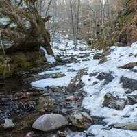 Landscape of the Gorge in the winter at Parfrey's Glen, Wisconsin - Free photos