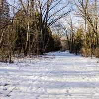 Landscape Photo of a snowy trail at Parfrey's Glen, Wisconsin free stock photo