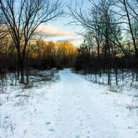 Landscape on the Trail at Parfrey's Glen, Wisconsin