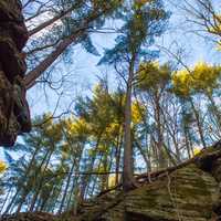 Looking up the Canyon Walls at Parfrey's Glen, Wisconsin