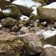 Rocks in the Gorge at Parfreys Glen, Wisconsin