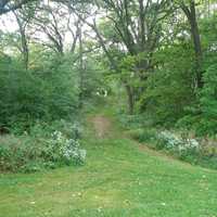 Path at Lake Kegonsa State Park in Wisconsin