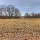 Cornfields at Pewit's Nest Natural Area, Wisconsin