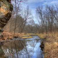 Stream flowing into woods at Pewit's Nest Natural Area, Wisconsin