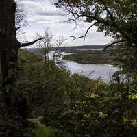 Wisconsin River landscape through the trees at Ferry Bluff