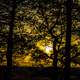 Yellow Dusk Through the Trees at Gibraltar Rock, Wisconsin, Free Stock Photo