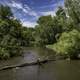 Fallen Tree Across the River on Sugar River State Trail