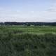 Grassland and fields under skies in Sugar River State Trail