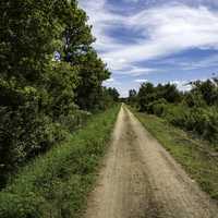 Sky, Clouds, and path on Sugar River State Trail