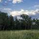 Treeline with grass and fields on the Sugar River State Trail