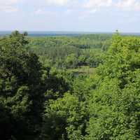 The forest at Timms Hill, Wisconsin