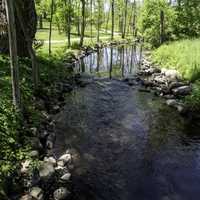 Small Stream running under the bridge