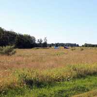 Fields and landscape on Washington Island, Wisconsin