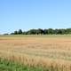 Open Fields on Washington Island, Wisconsin