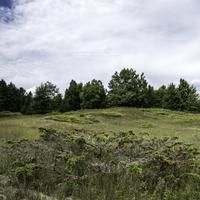 Whitefish Dunes State Park  Photos