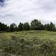 Sand dunes, trees, and landscape at Whitefish Dunes State Park, Wisconsin