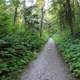 Hiking Walkway at Whitefish Dunes State Park, Wisconsin