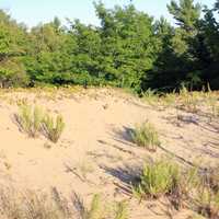 Sand Dunes at Whitefish Dunes State Park, Wisconsin