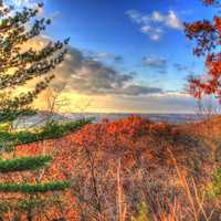 Forest Overlook near dusk at Wildcat Mountain State Park, Wisconsin