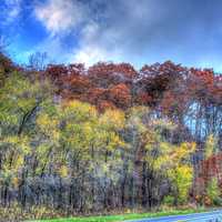 Autumn colors by the roadside at Wildcat Mountain State Park, Wisconsin