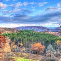 Autumn Forest at Wildcat Mountain State Park, Wisconsin