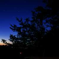 Forest, sky, and stars at Wildcat Mountain State Park, Wisconsin